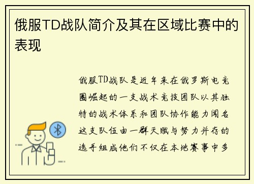 俄服TD战队简介及其在区域比赛中的表现