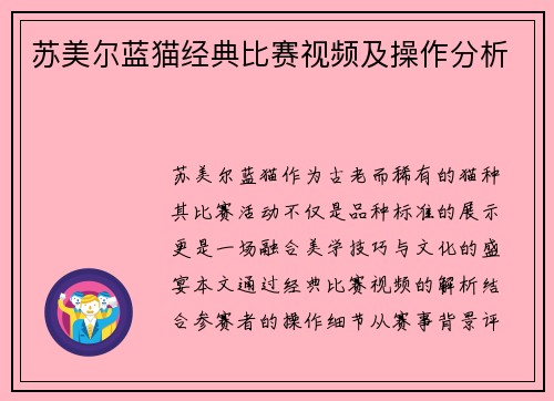 苏美尔蓝猫经典比赛视频及操作分析